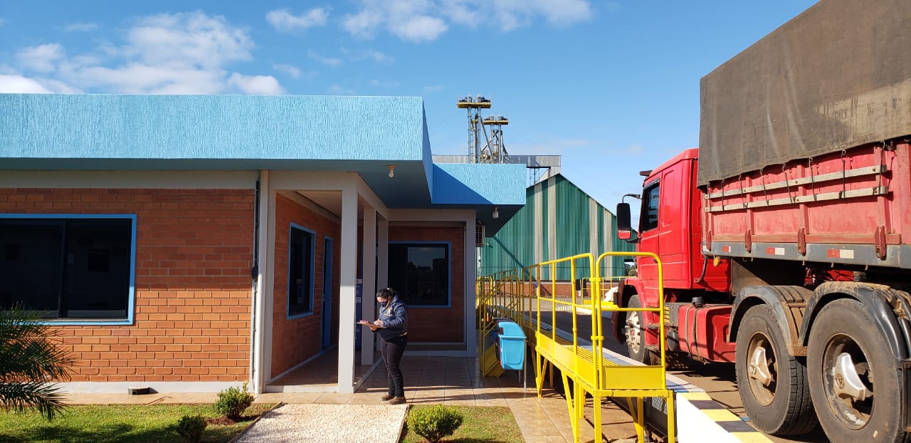 A agente Marta da Cruz Amaral em fiscalização em São Luiz Gonzaga